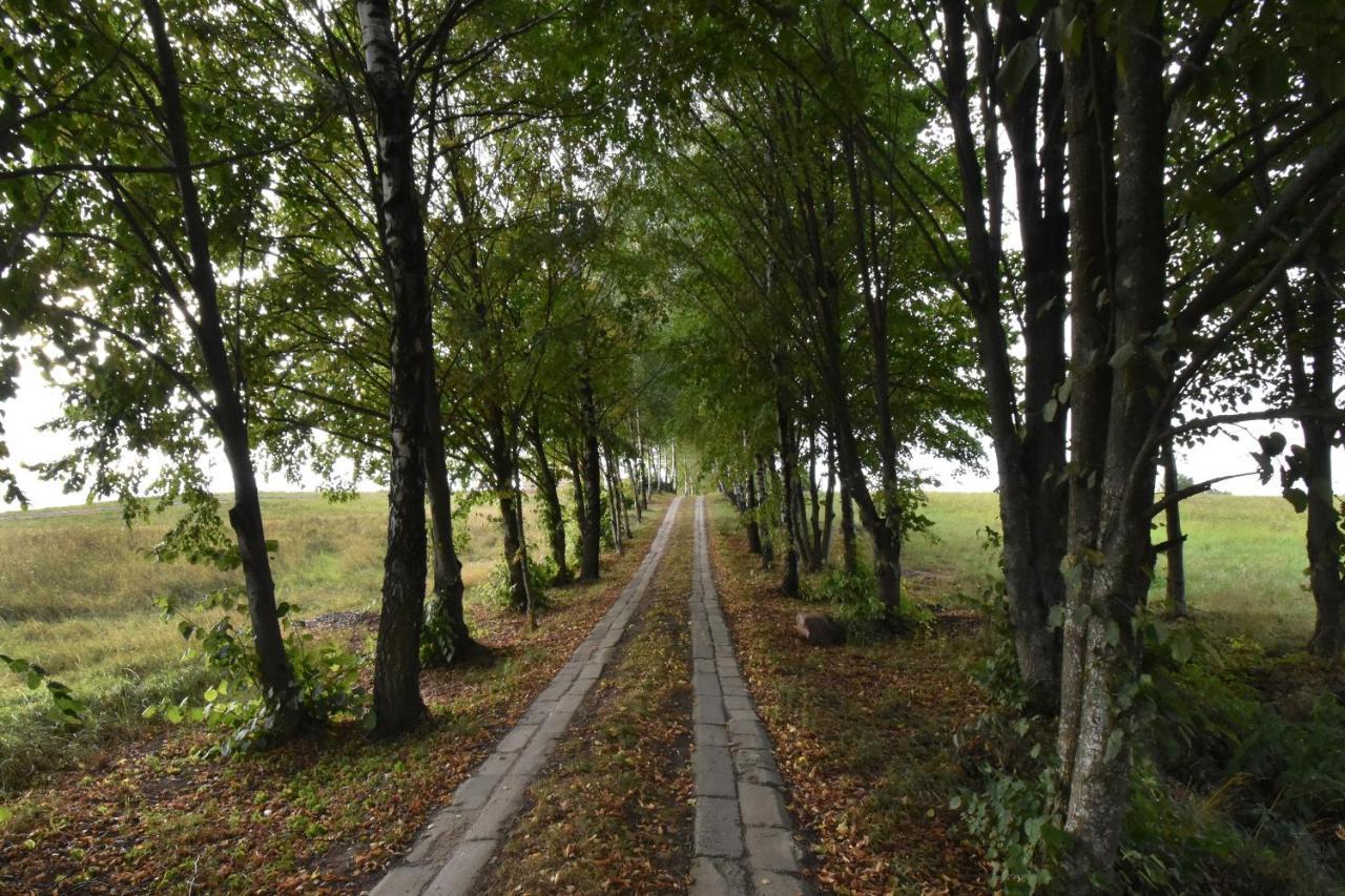 Dadaj Park Home Biskupiec  Esterno foto